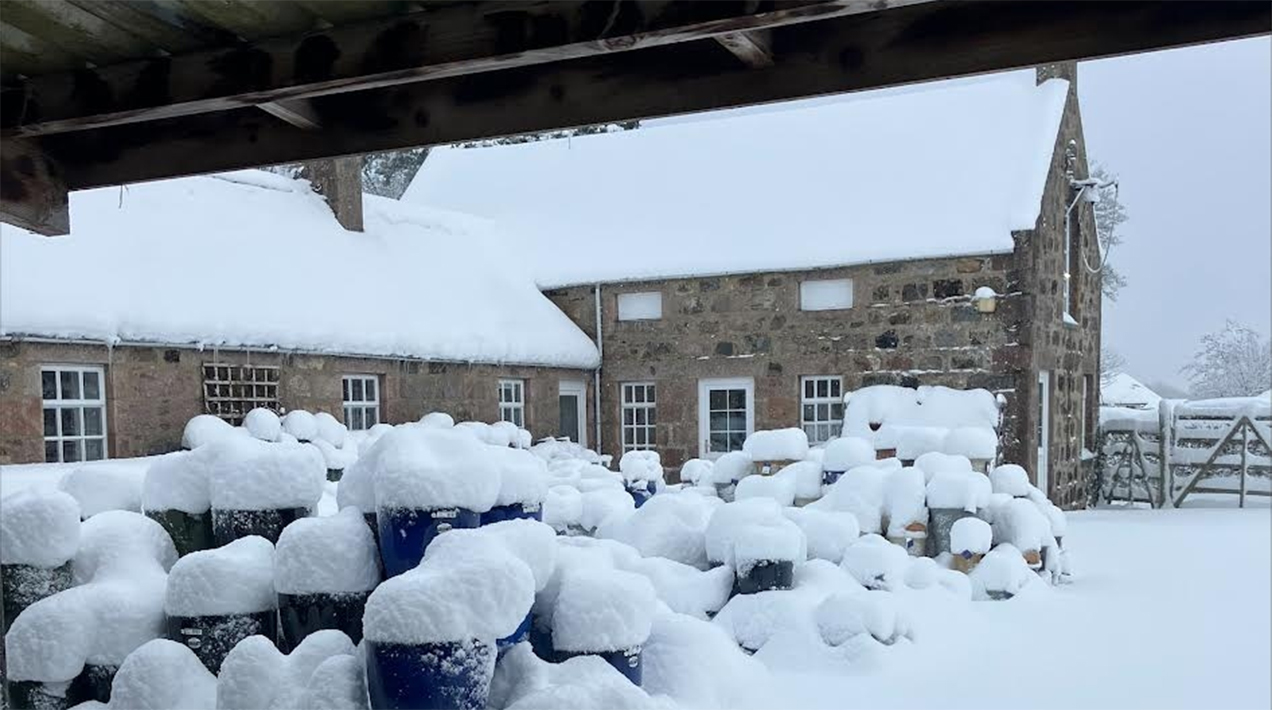 Ben Reid Garden Centre